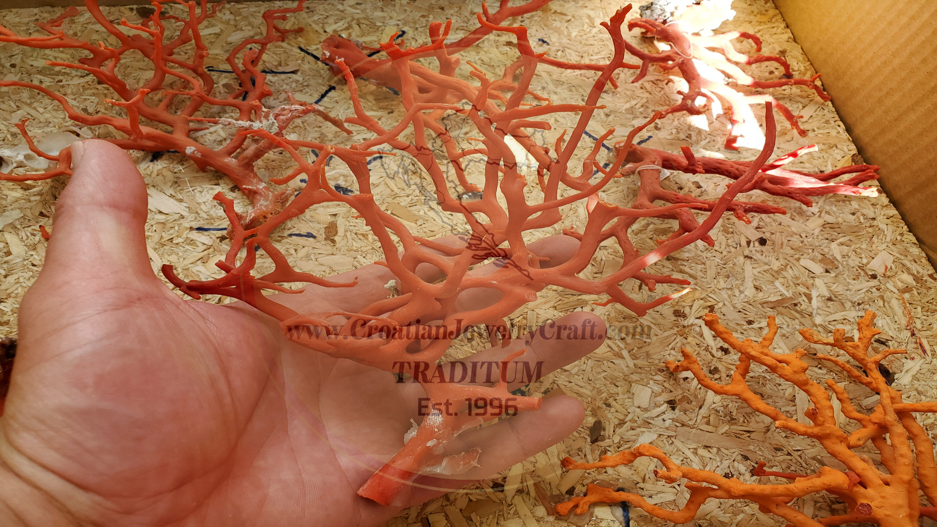 Mediterranean on sale coral jewelry